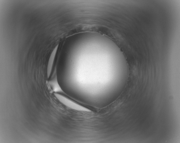X0000082140914200702021605
