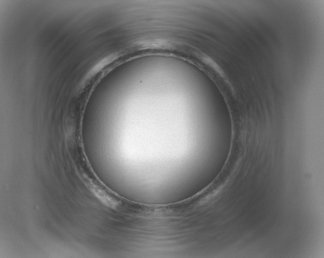 X0000082140922200702021605