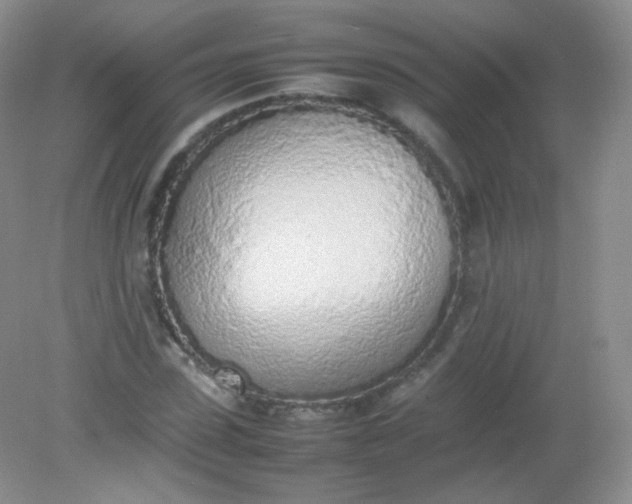 X0000082140923200702021605