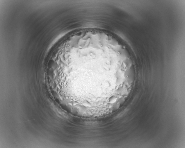 X0000082140925200702021605