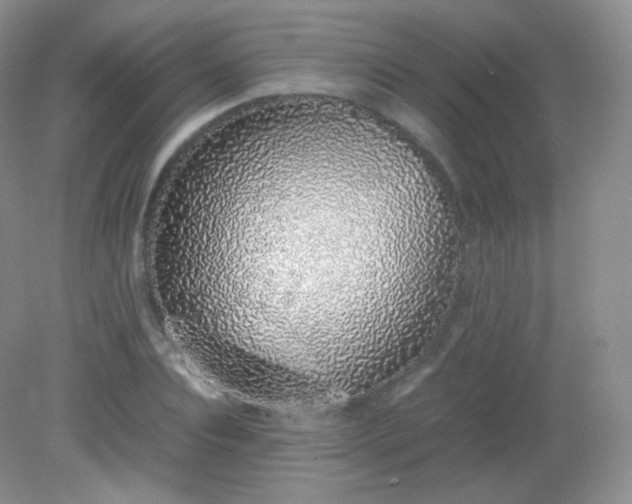 X0000082140928200702021605