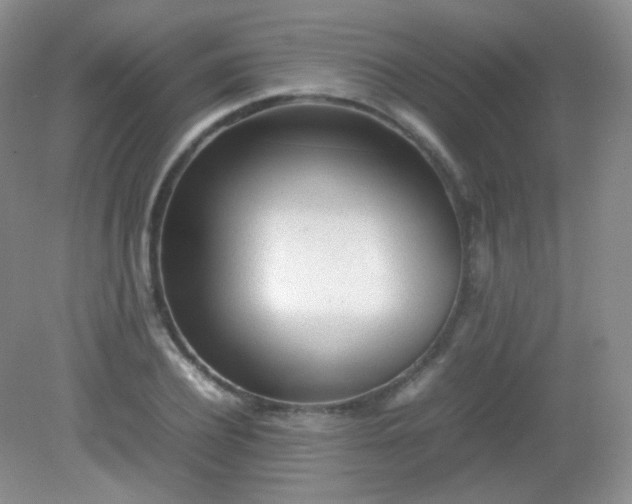 X0000082140932200702021605