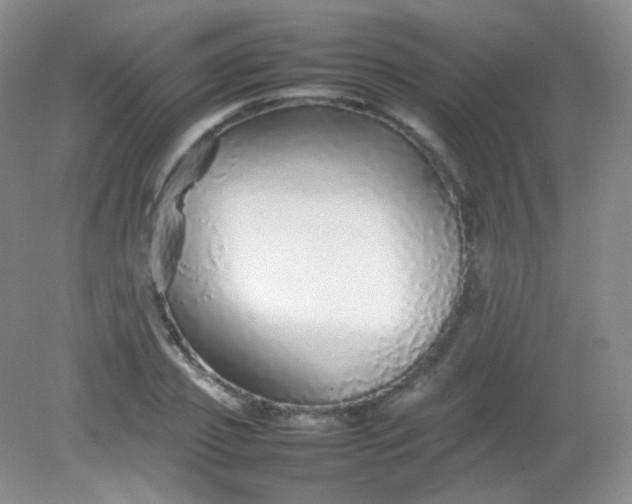 X0000082140933200702021605