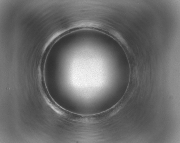 X0000082140936200702021605