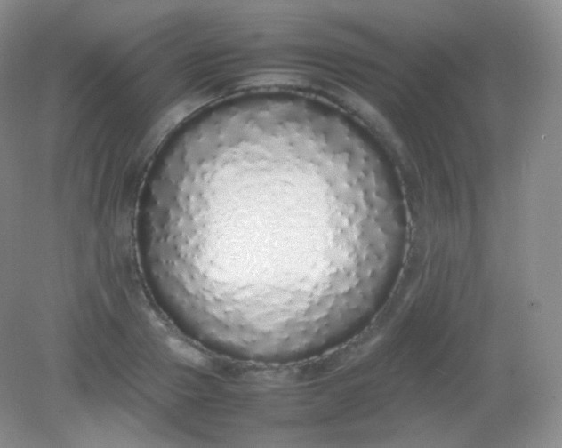 X0000082140937200702021605