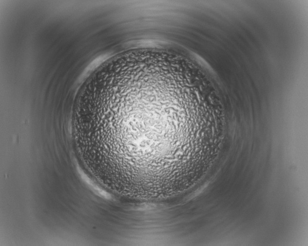 X0000082140938200702021605