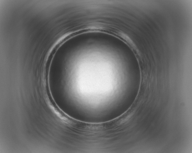 X0000082140939200702021605