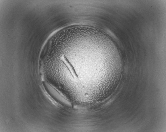 X0000082140940200702021605