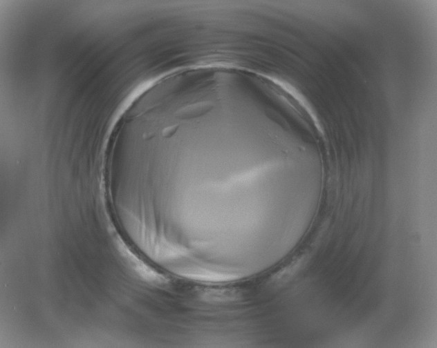 X0000082140941200702021605