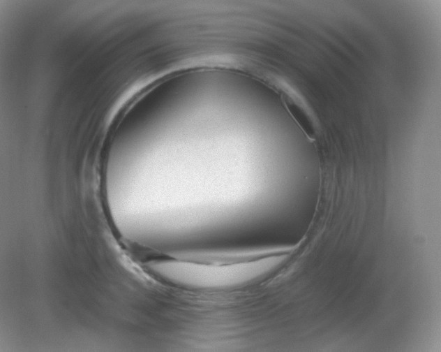 X0000082140944200702021605