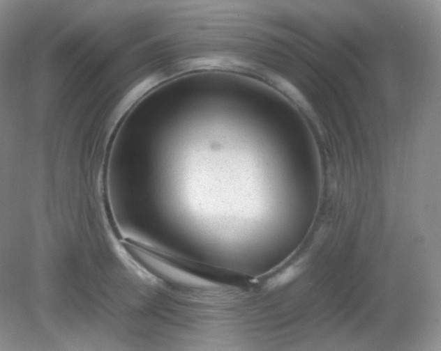 X0000082140946200702021605