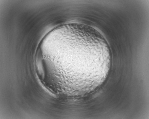 X0000082140949200702021606