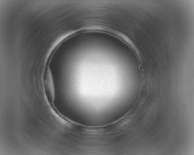 X0000082140951200702021606