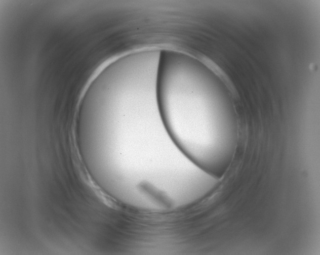 X0000082140956200702021606