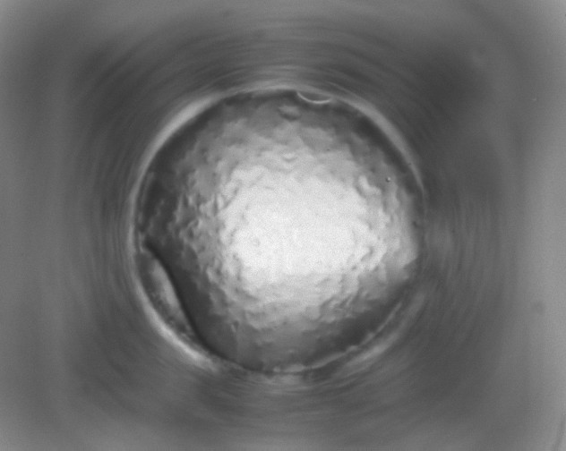 X0000082140957200702021606