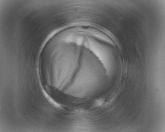 X0000082140958200702021606