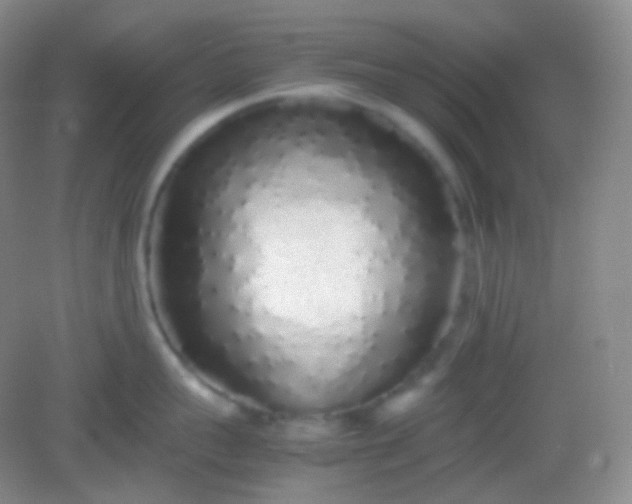 X0000082140959200702021606