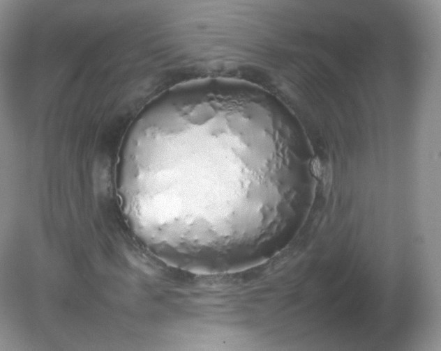 X0000082140963200702021605