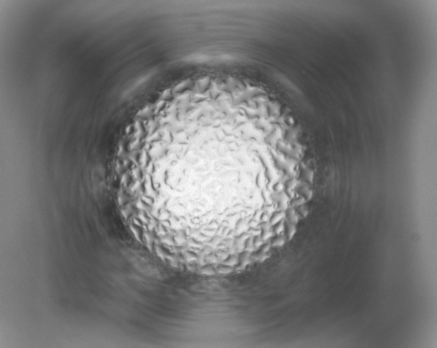 X0000082140966200702021605
