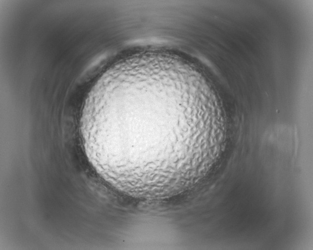 X0000082140967200702021605