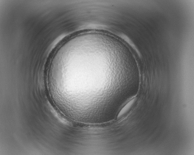 X0000082140972200702021605