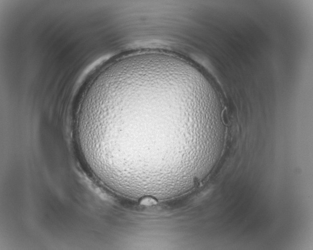 X0000082140979200702021605
