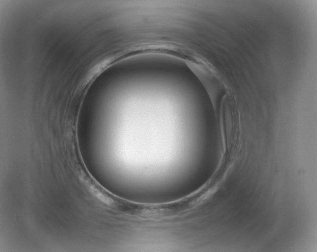 X0000082140985200702021605