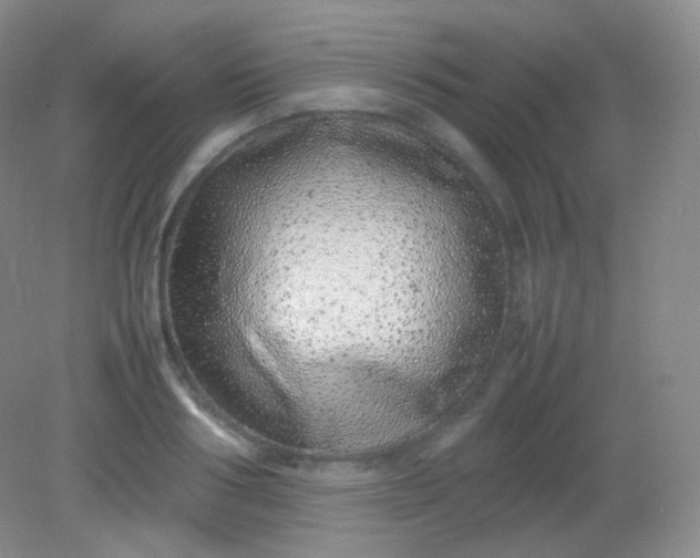 X0000082140986200702021605