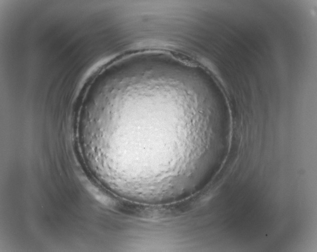 X0000082140987200702021604