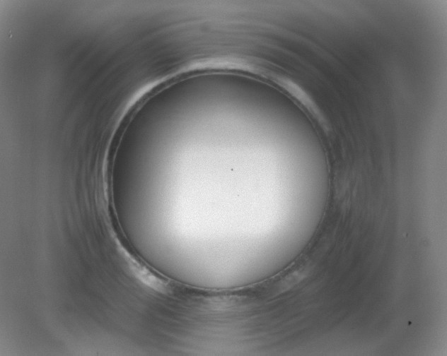 X0000082140988200702021604