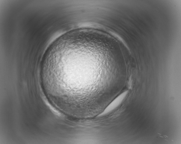 X0000082140991200702021604