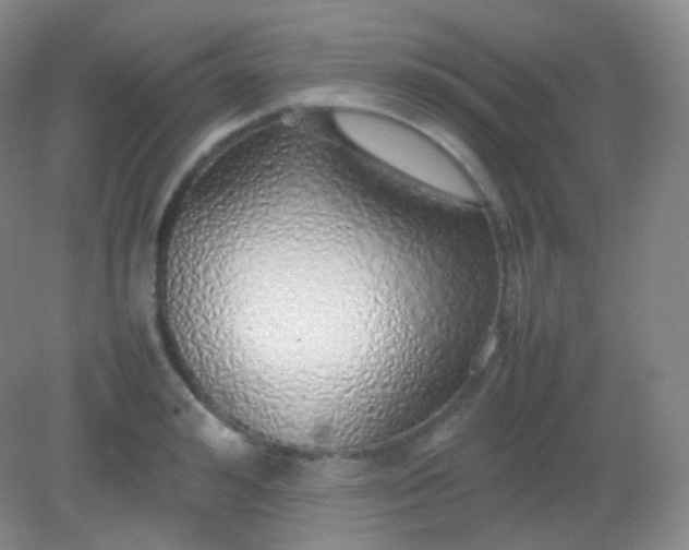 X0000082140992200702021604