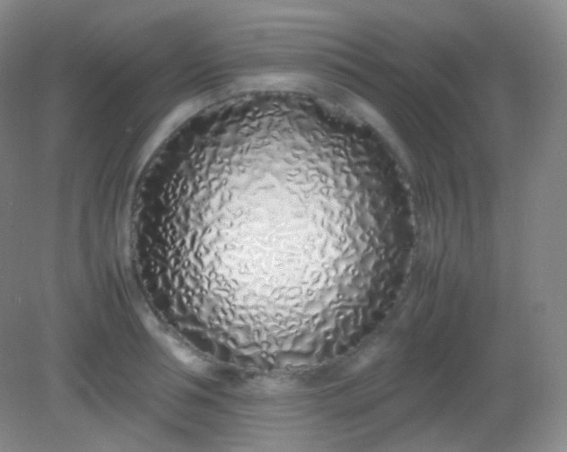X0000082140994200702021604