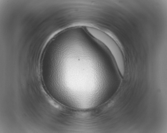 X0000082140996200702021604