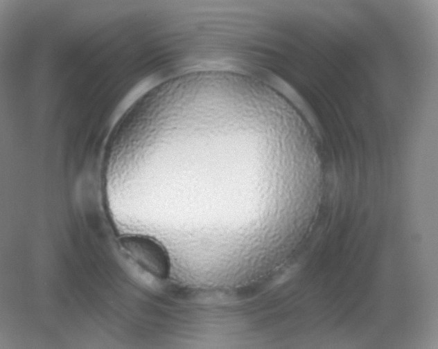 X0000082141002200702021604