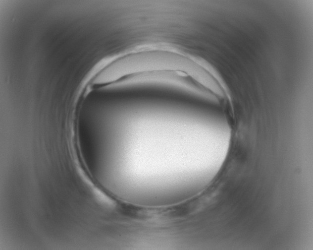 X0000082141005200702021604