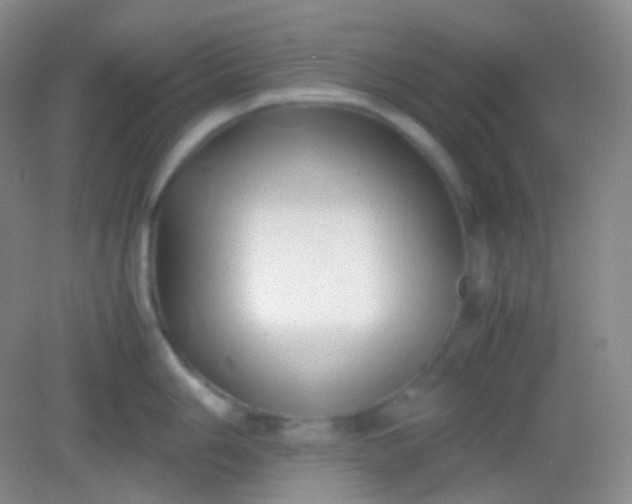 X0000082141006200702021604