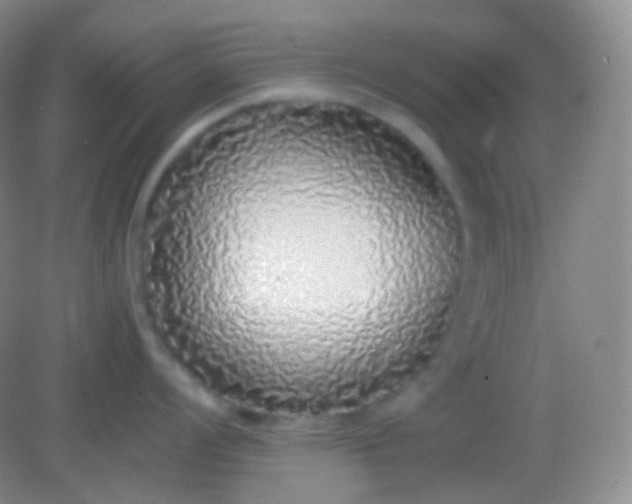 X0000082141008200702021604
