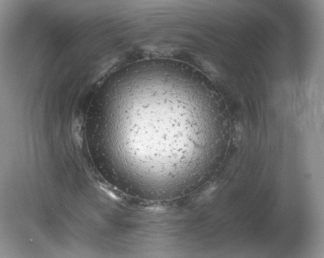 X0000082141010200702021603