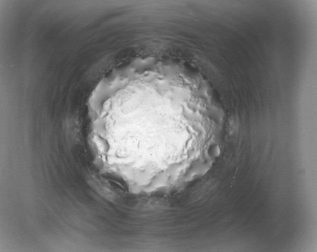 X0000082141011200702021603