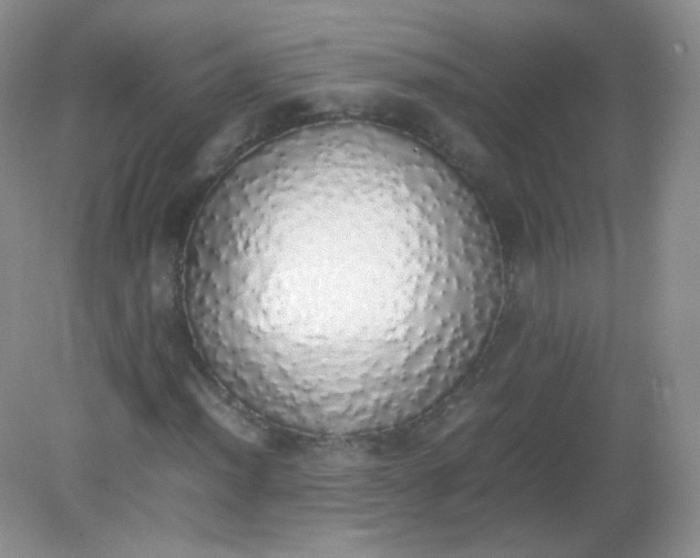 X0000082141012200702021603