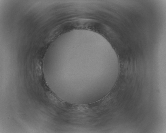 X0000082141013200702021603