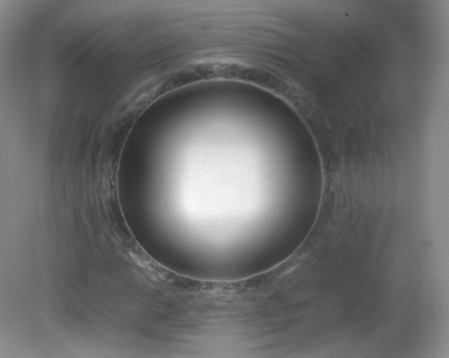 X0000082141014200702021603