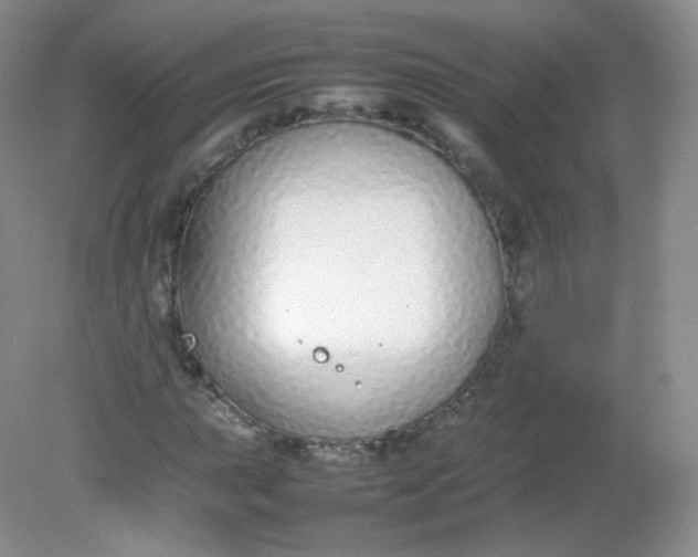 X0000082141015200702021603
