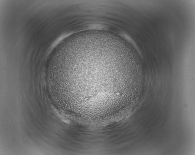 X0000082141019200702021604