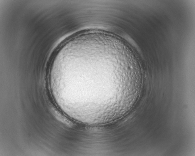 X0000082141020200702021604