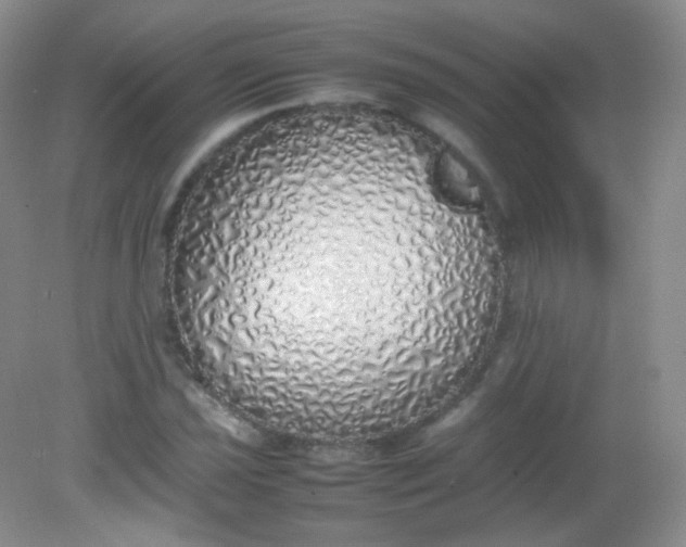 X0000082141021200702021604