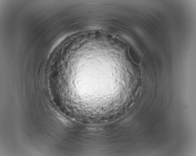 X0000082141023200702021604