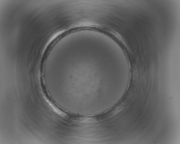 X0000082141024200702021604