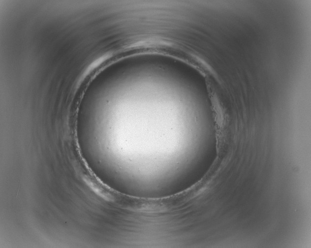 X0000082141026200702021604